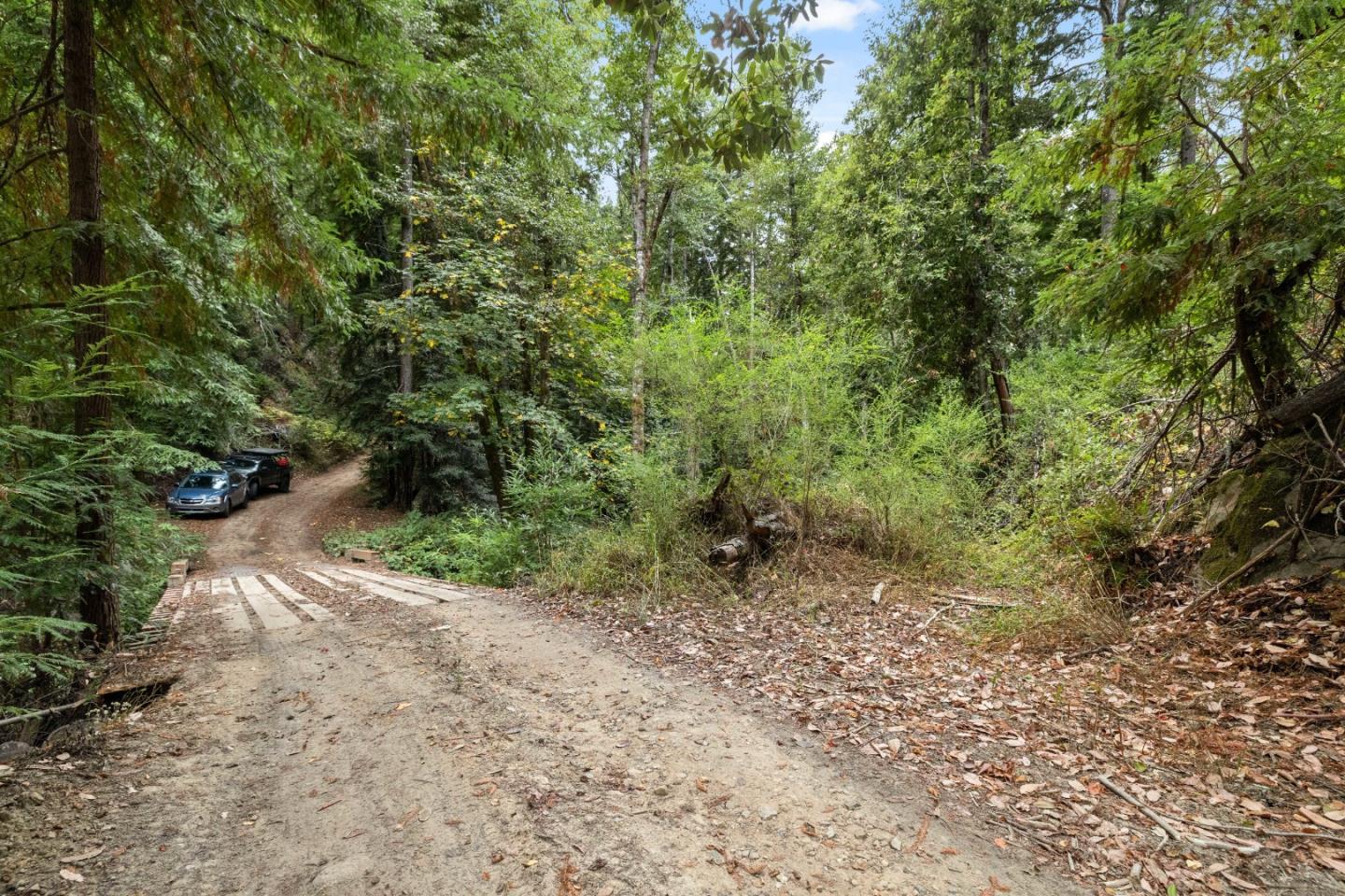 02 Bear Creek