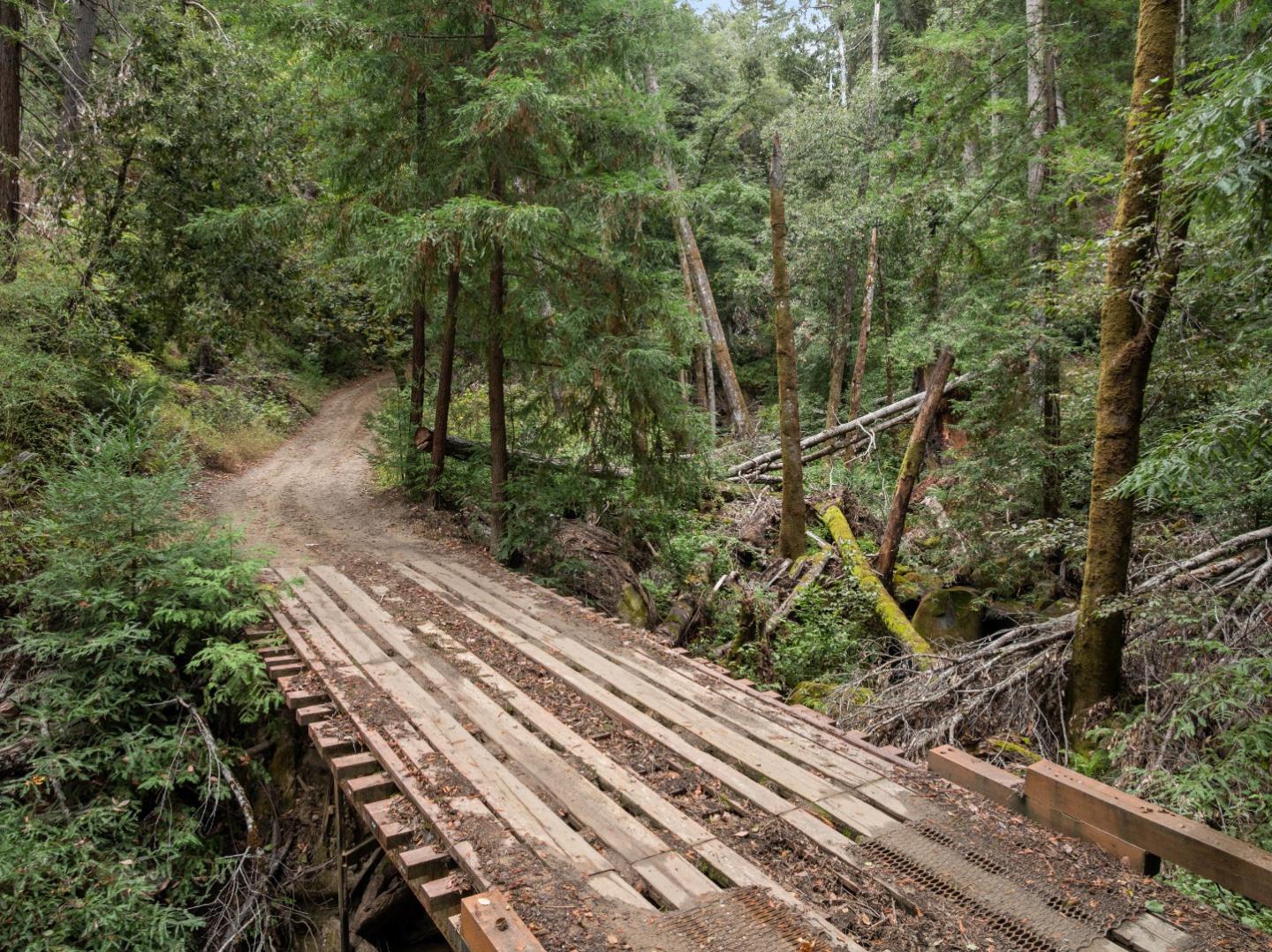 02 Bear Creek