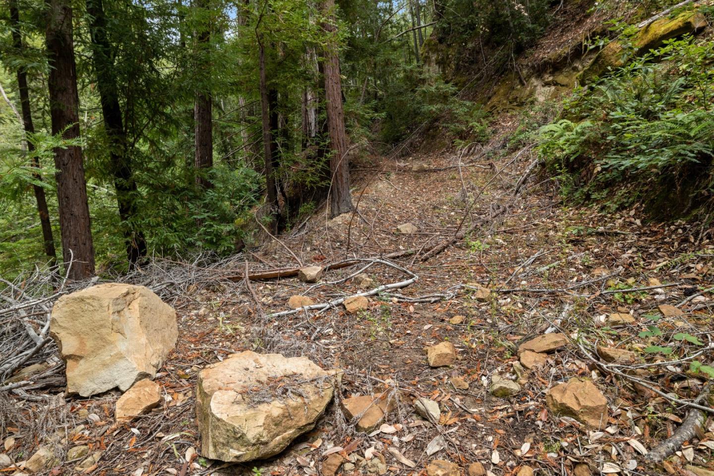02 Bear Creek