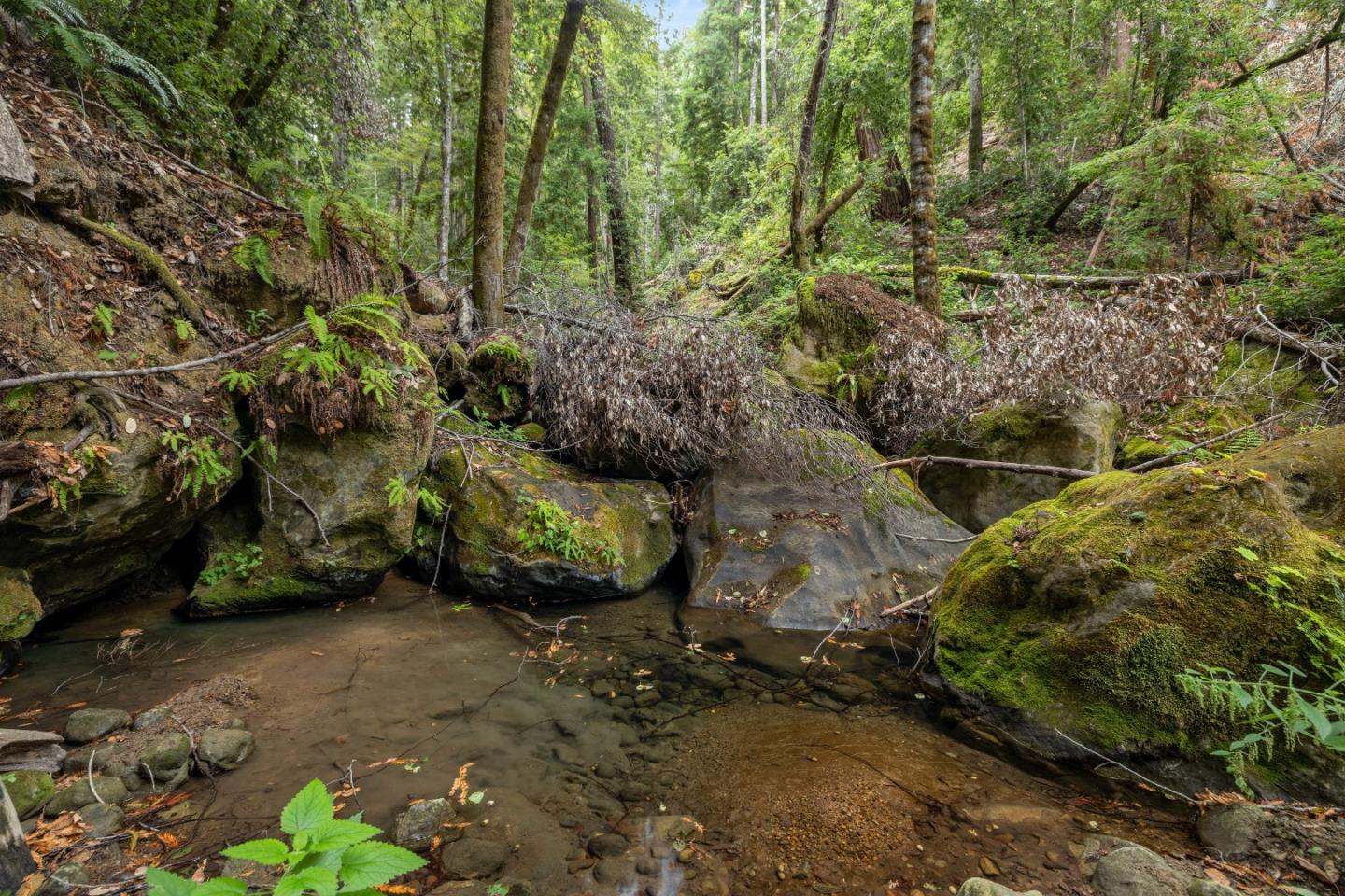 02 Bear Creek