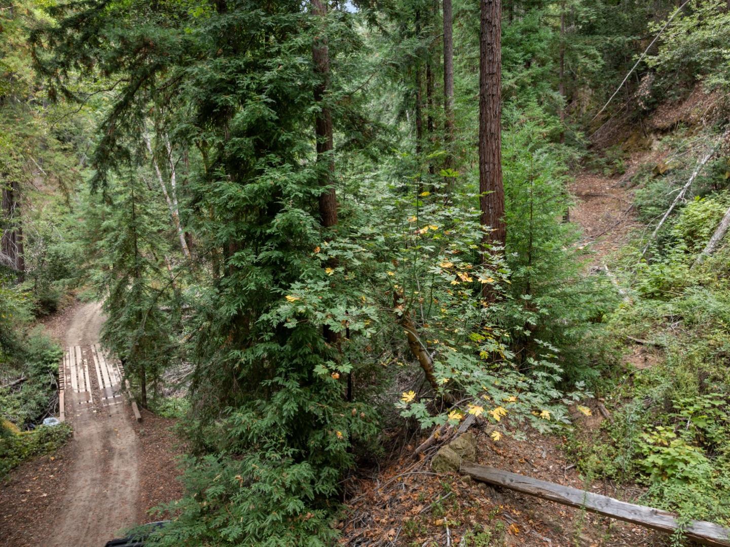02 Bear Creek