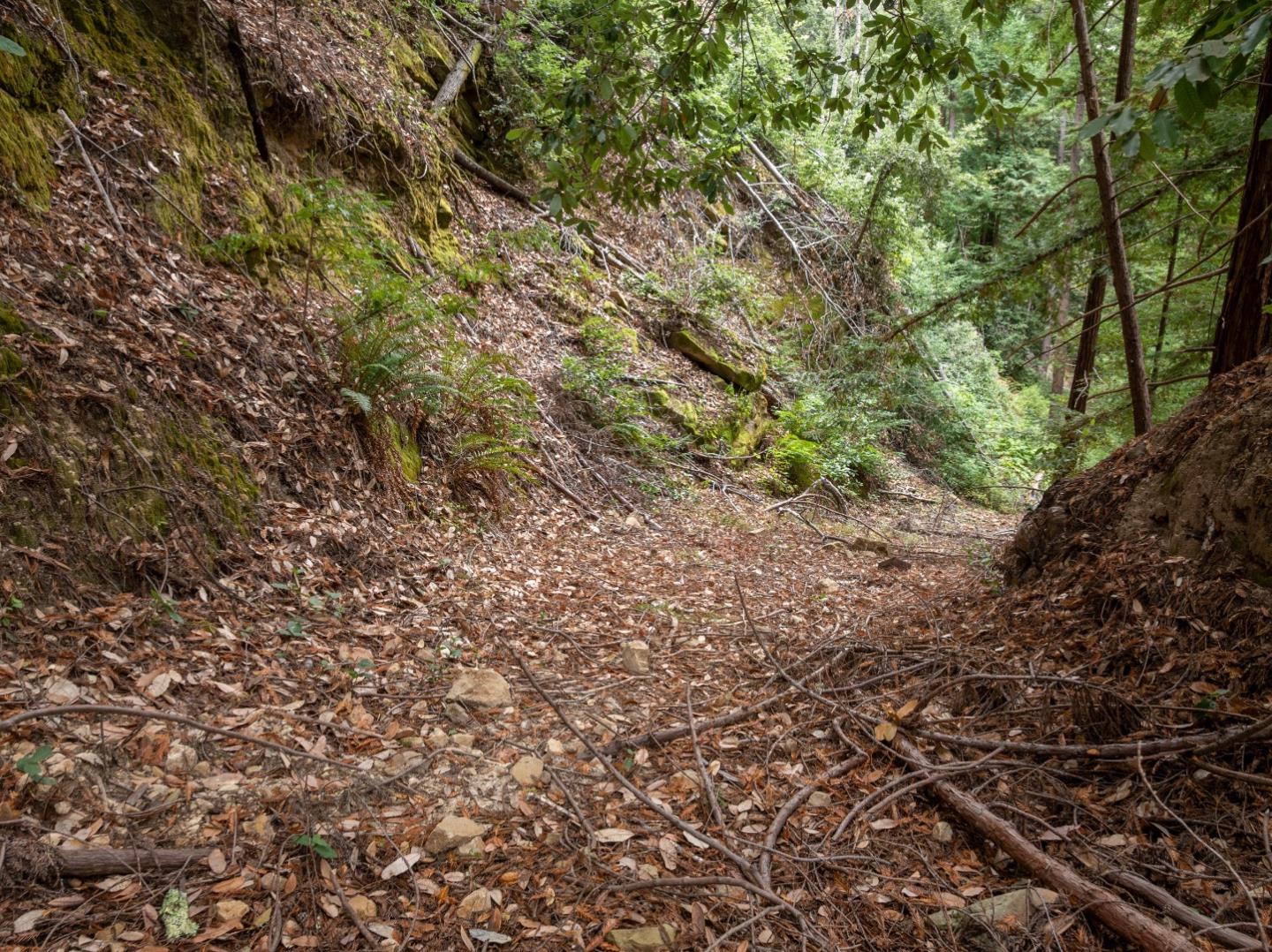 02 Bear Creek