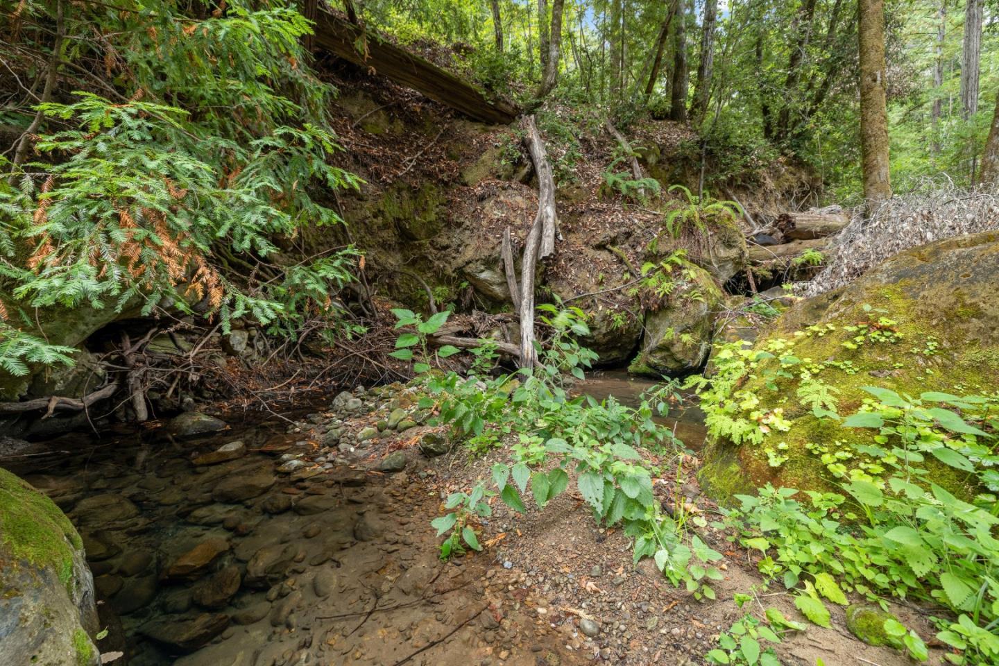 02 Bear Creek