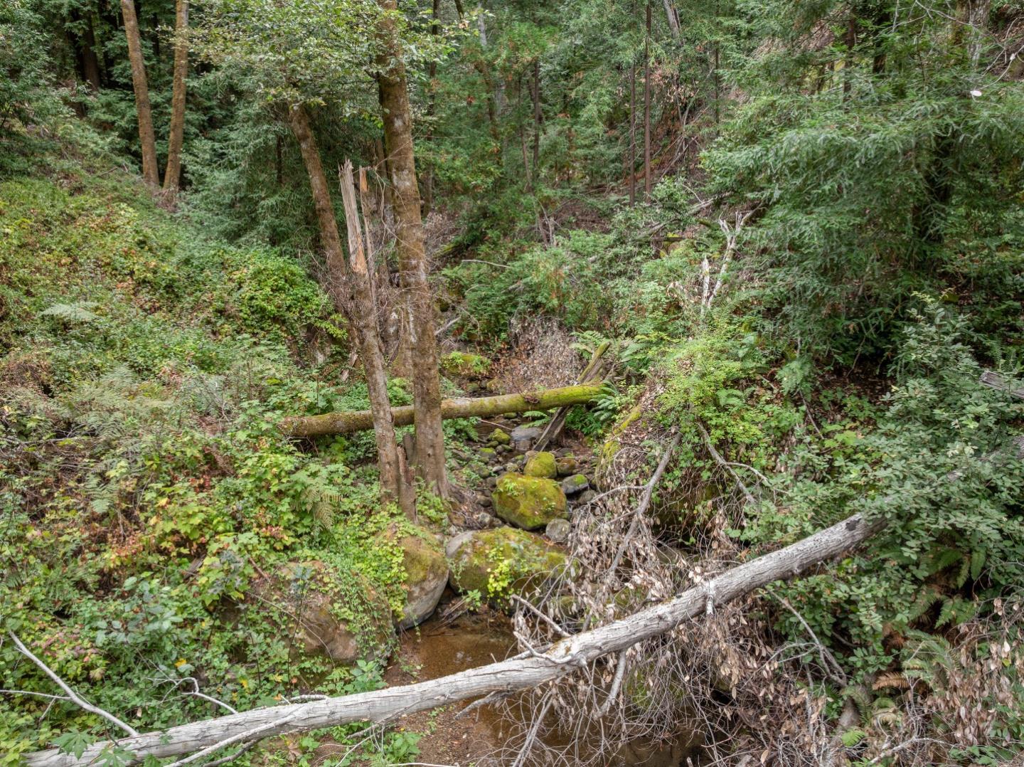 02 Bear Creek