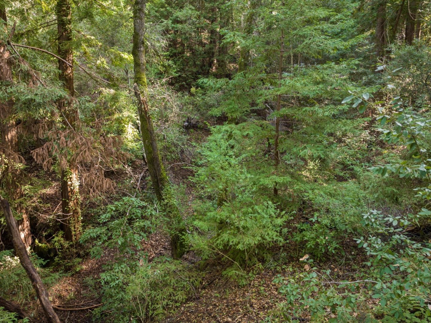 Lot 34 Lake Boulevard