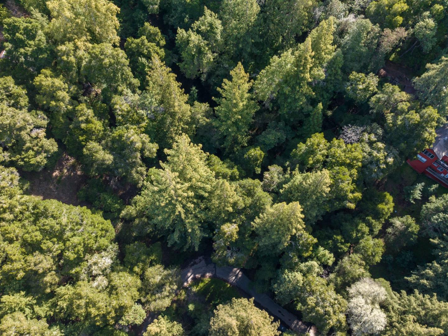 Lot 34 Lake Boulevard