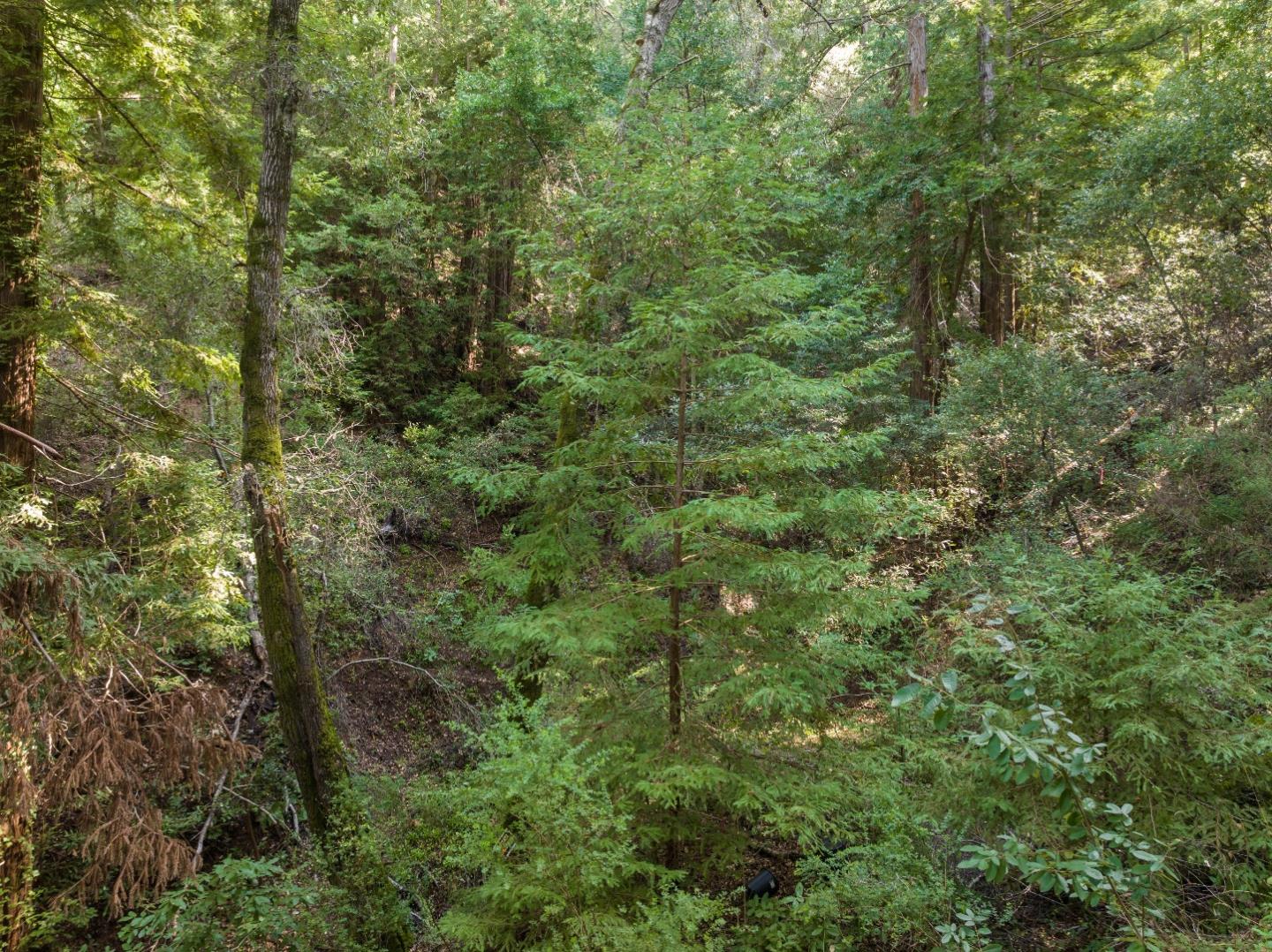 Lot 34 Lake Boulevard