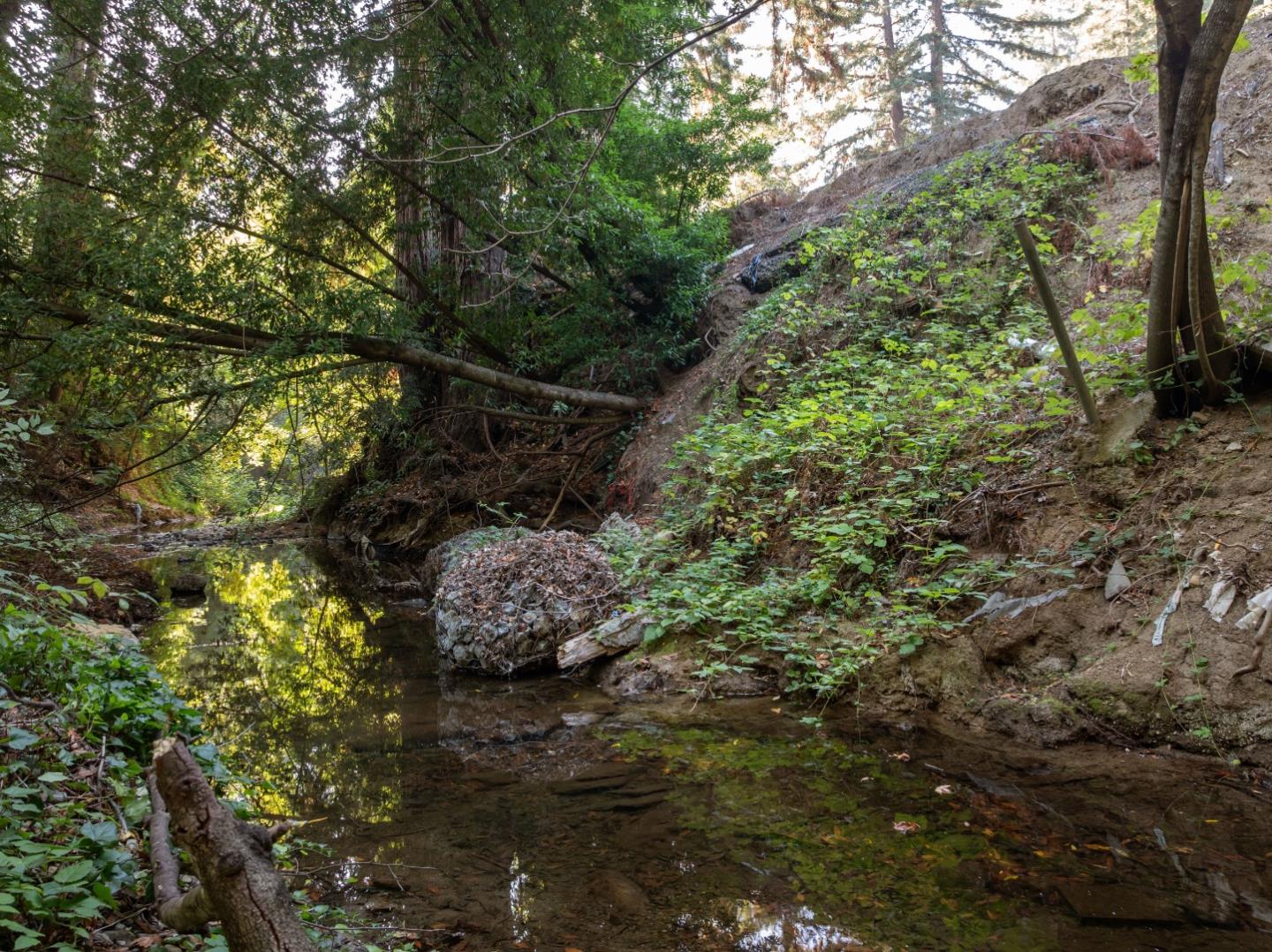 15840 Old County Highway