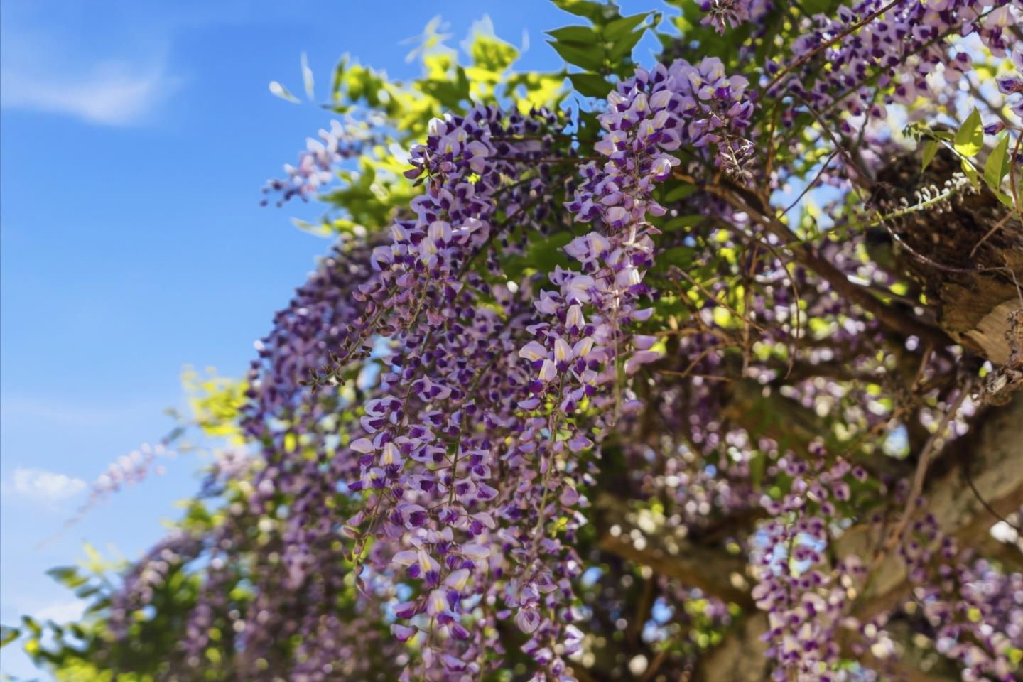 1925 46th Avenue 127