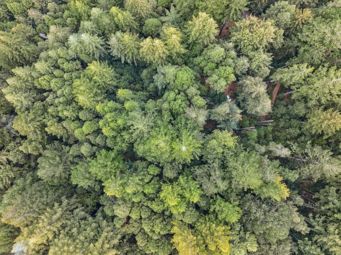 1365 Caledonia Avenue