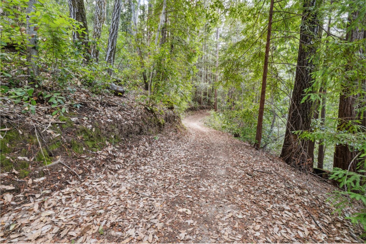 1365 Caledonia Avenue