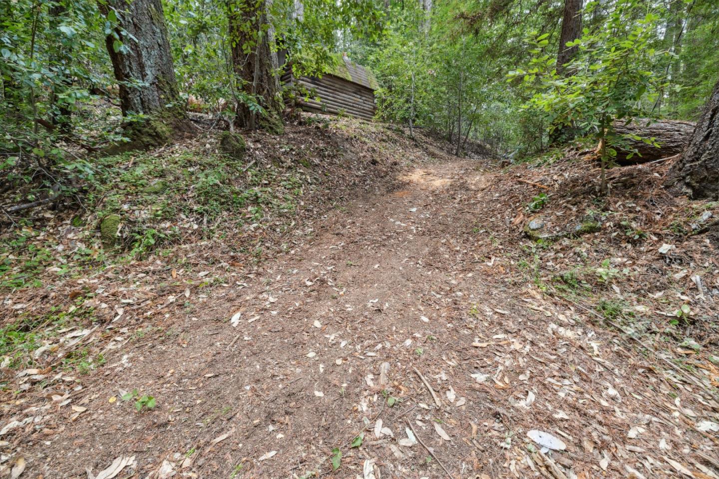 1365 Caledonia Avenue