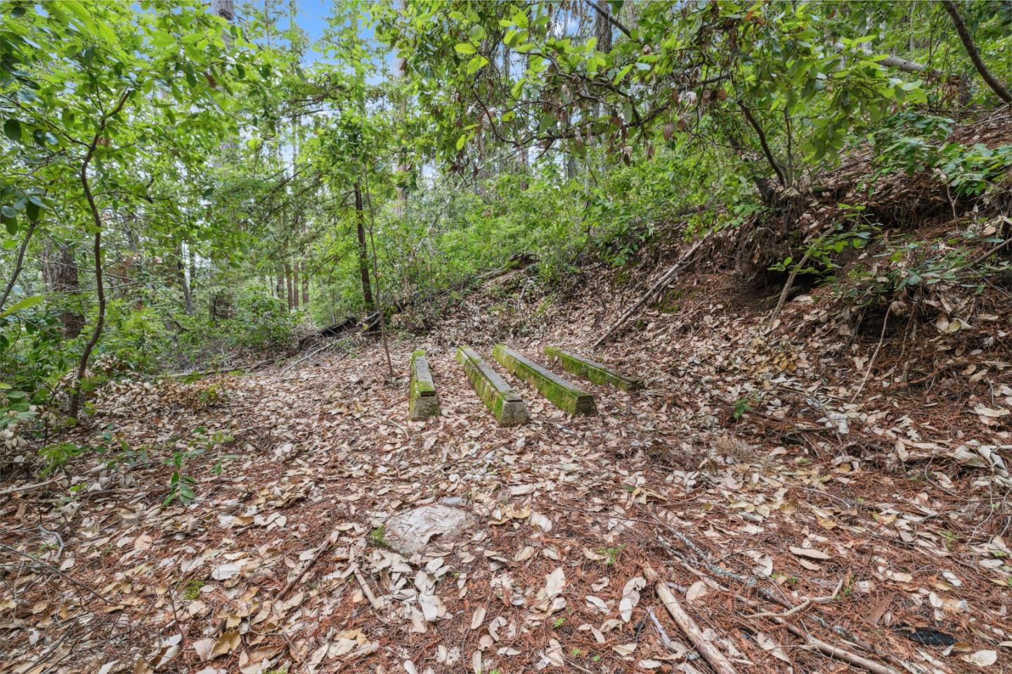 1365 Caledonia Avenue