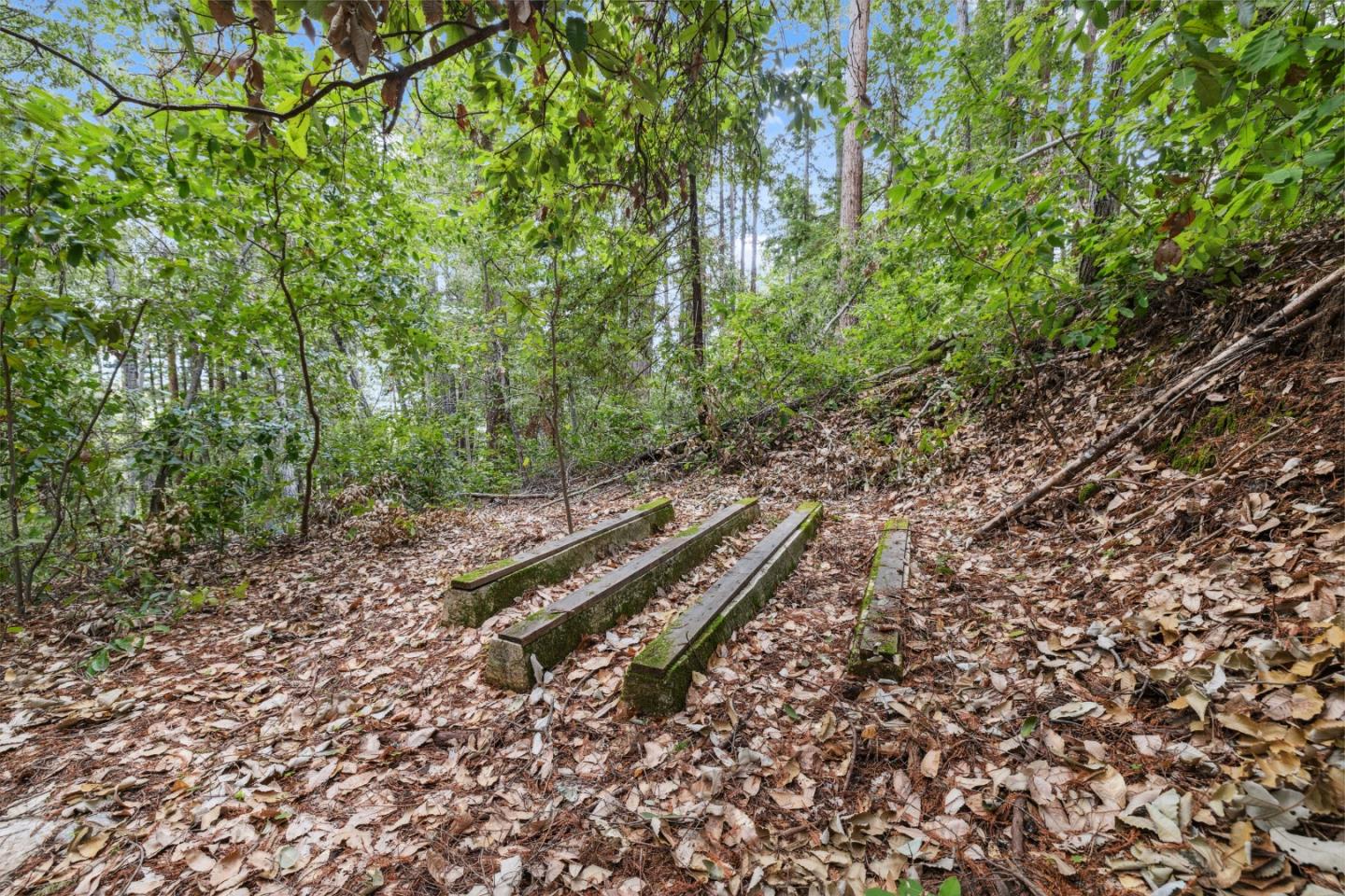 1365 Caledonia Avenue