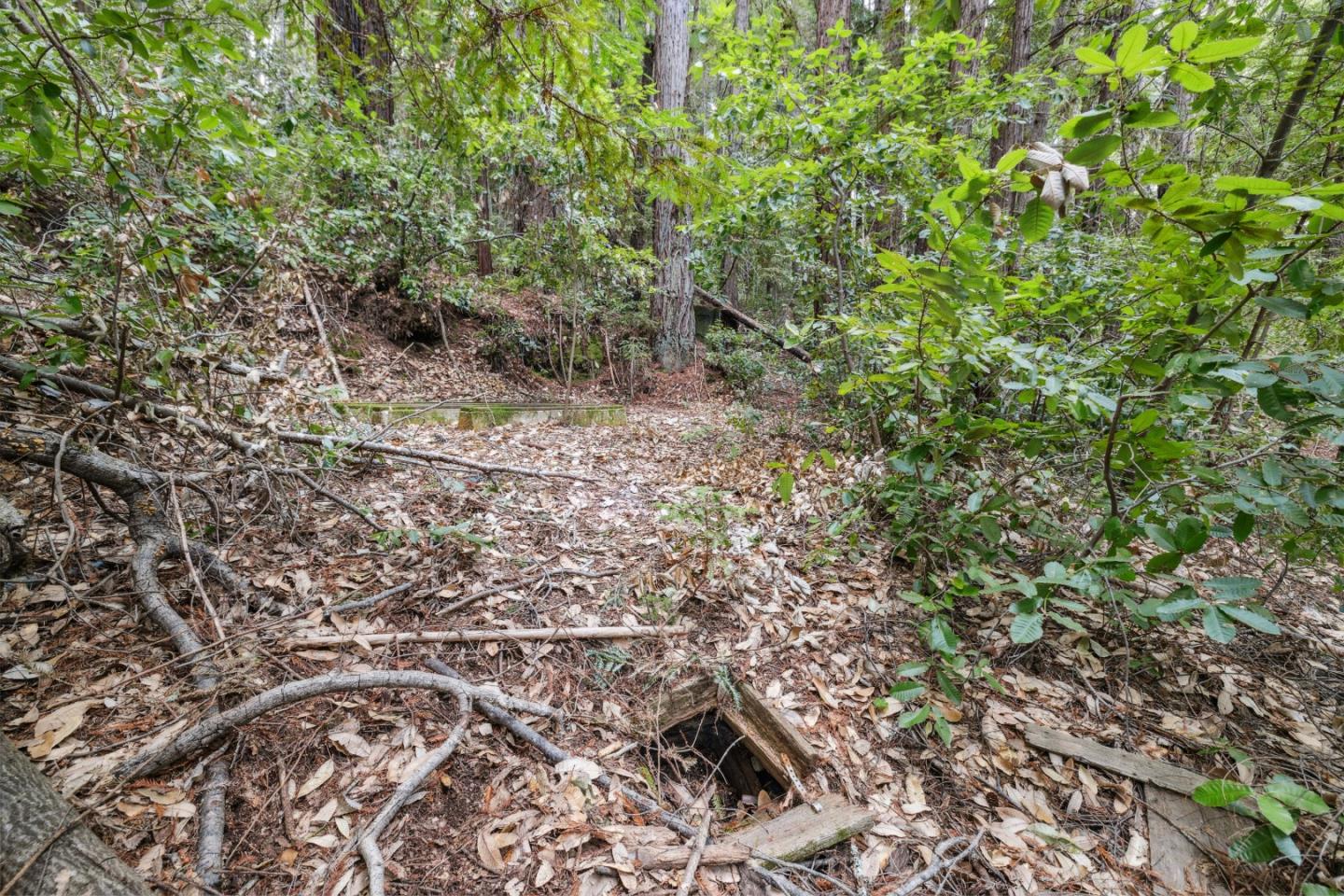 1365 Caledonia Avenue