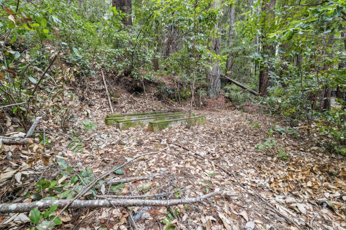 1365 Caledonia Avenue