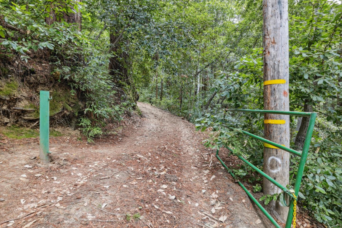 1365 Caledonia Avenue