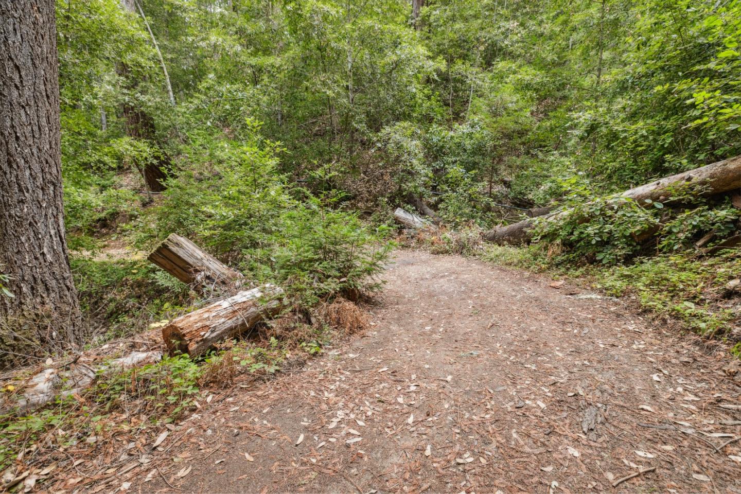 1365 Caledonia Avenue