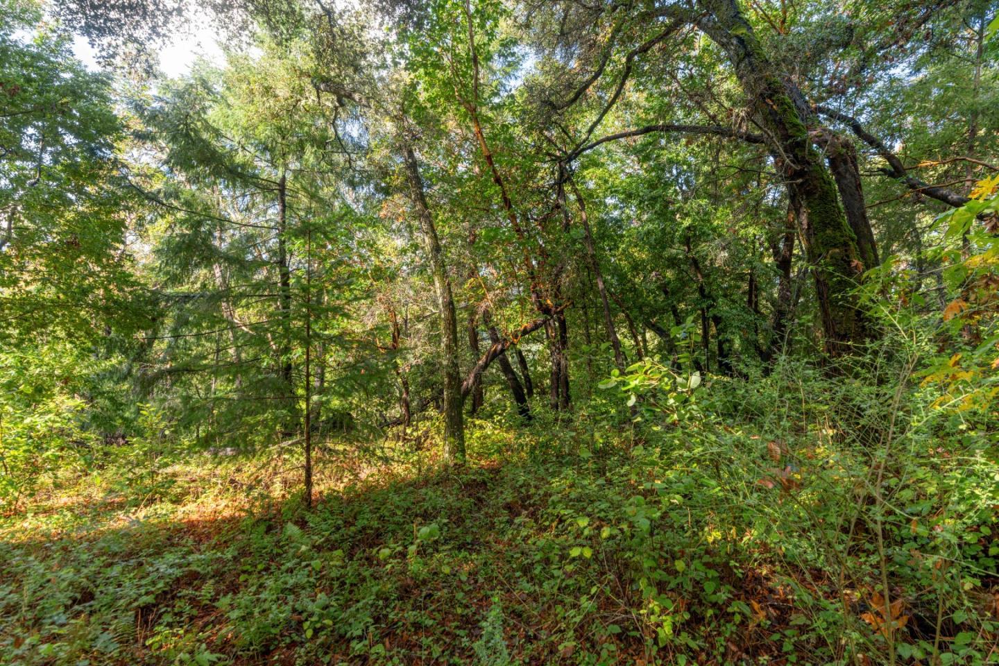 Lot 53 Lakeview Avenue