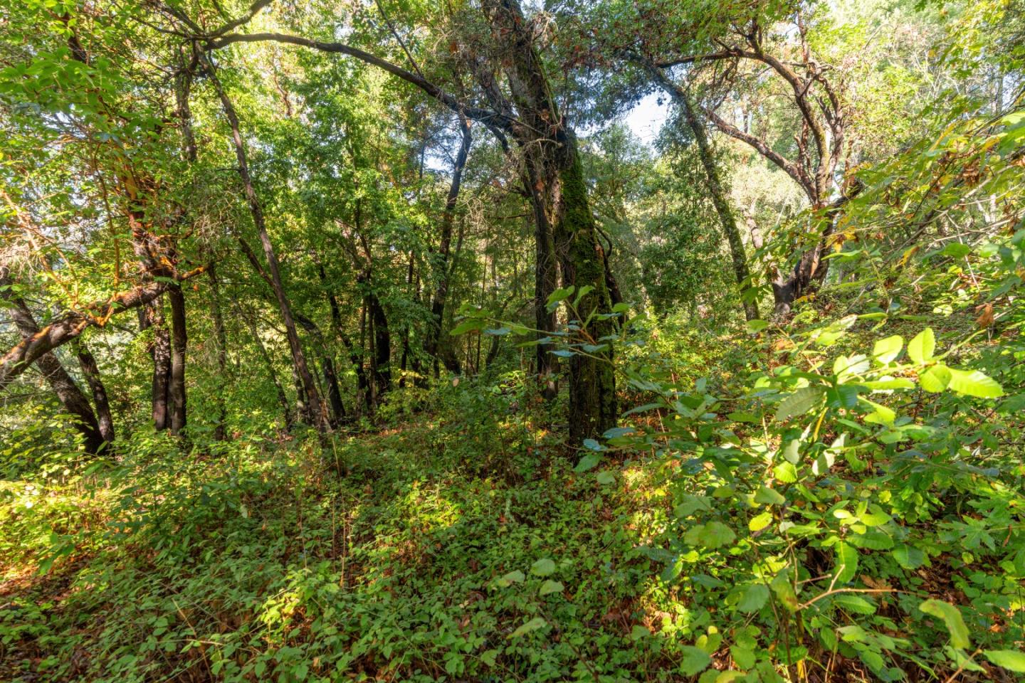 Lot 53 Lakeview Avenue
