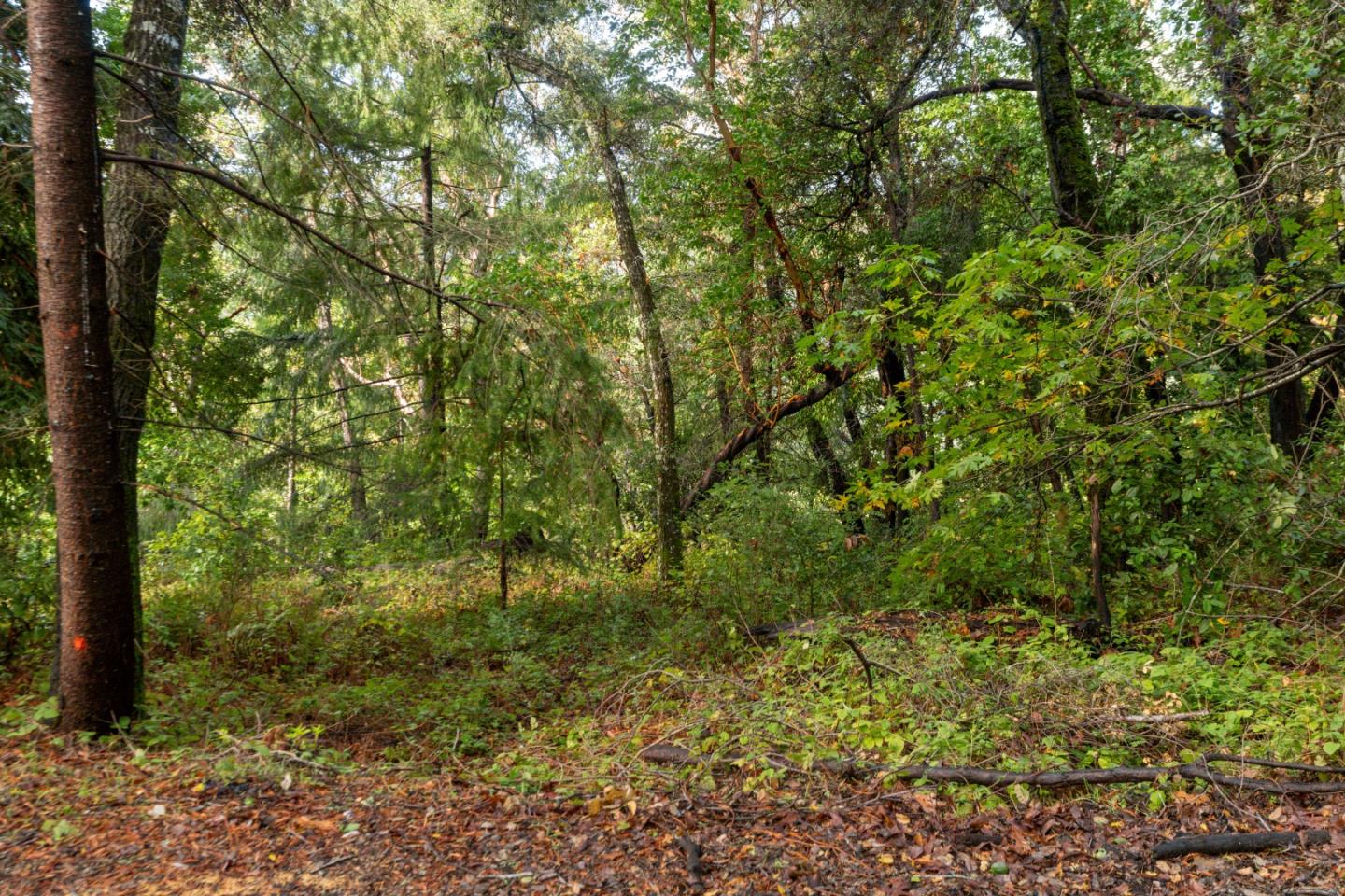 Lot 53 Lakeview Avenue