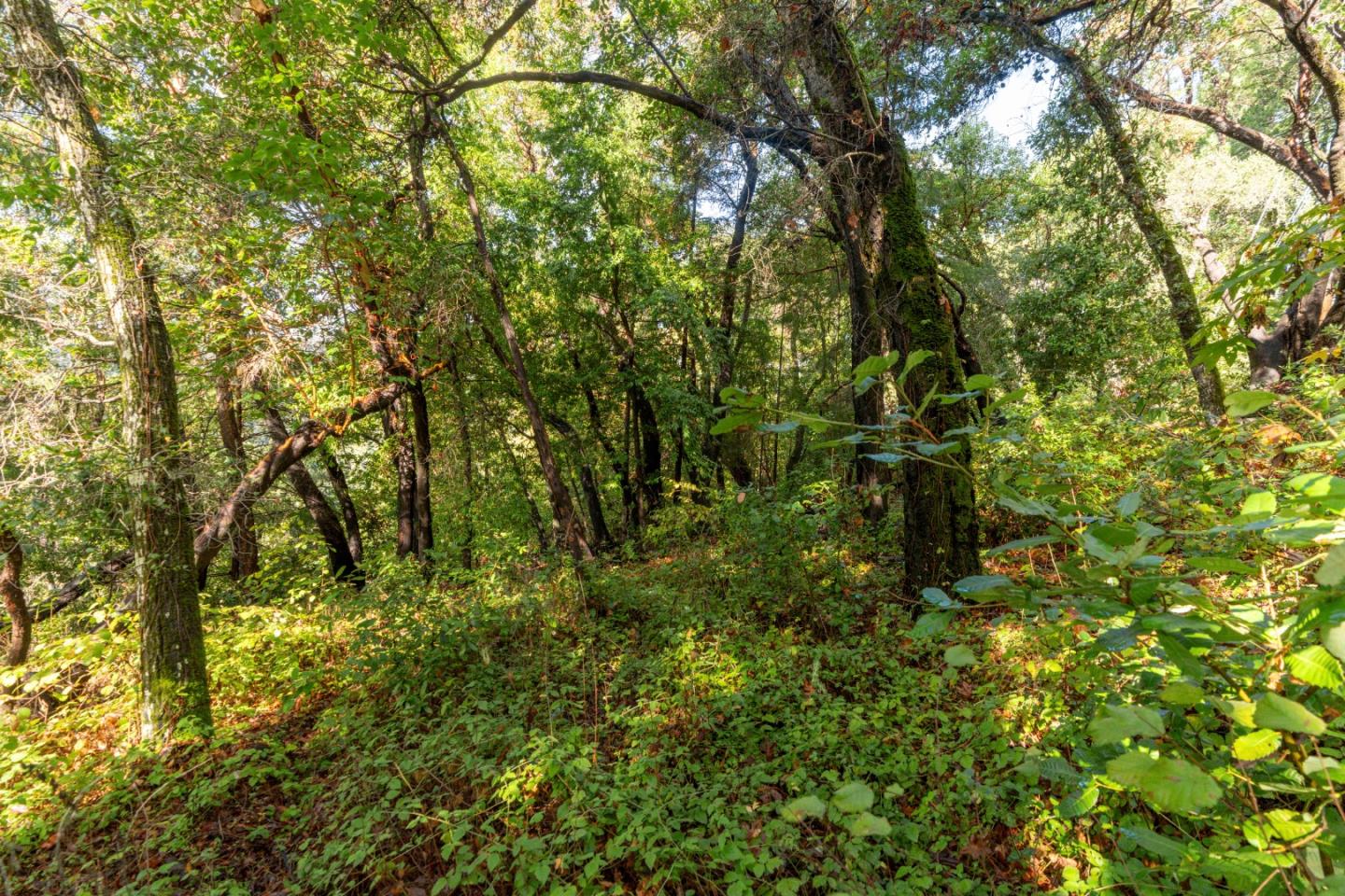 Lot 53 Lakeview Avenue