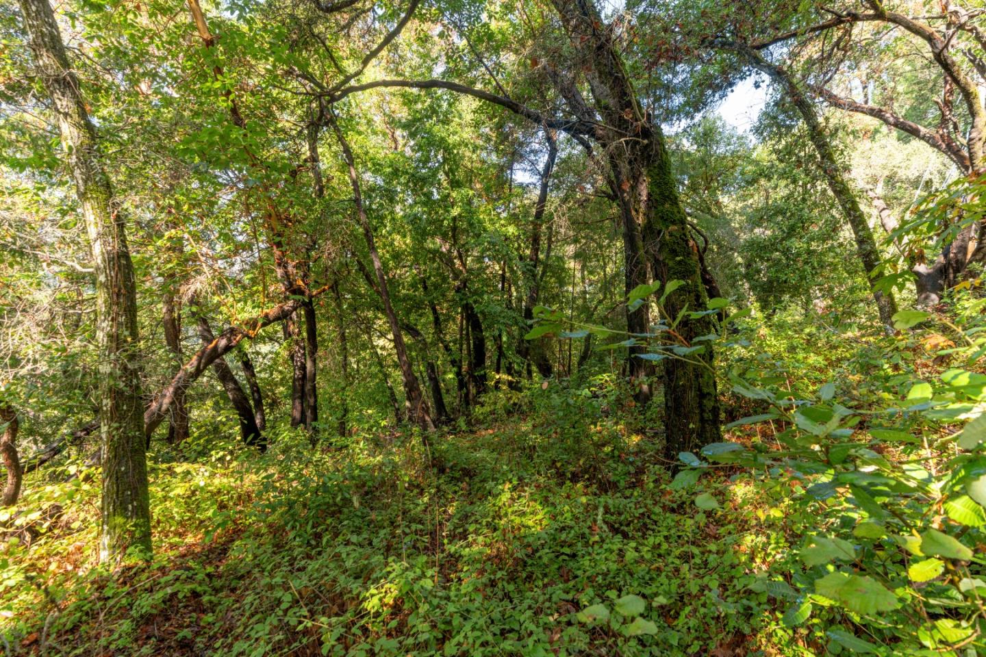 Lot 53 Lakeview Avenue