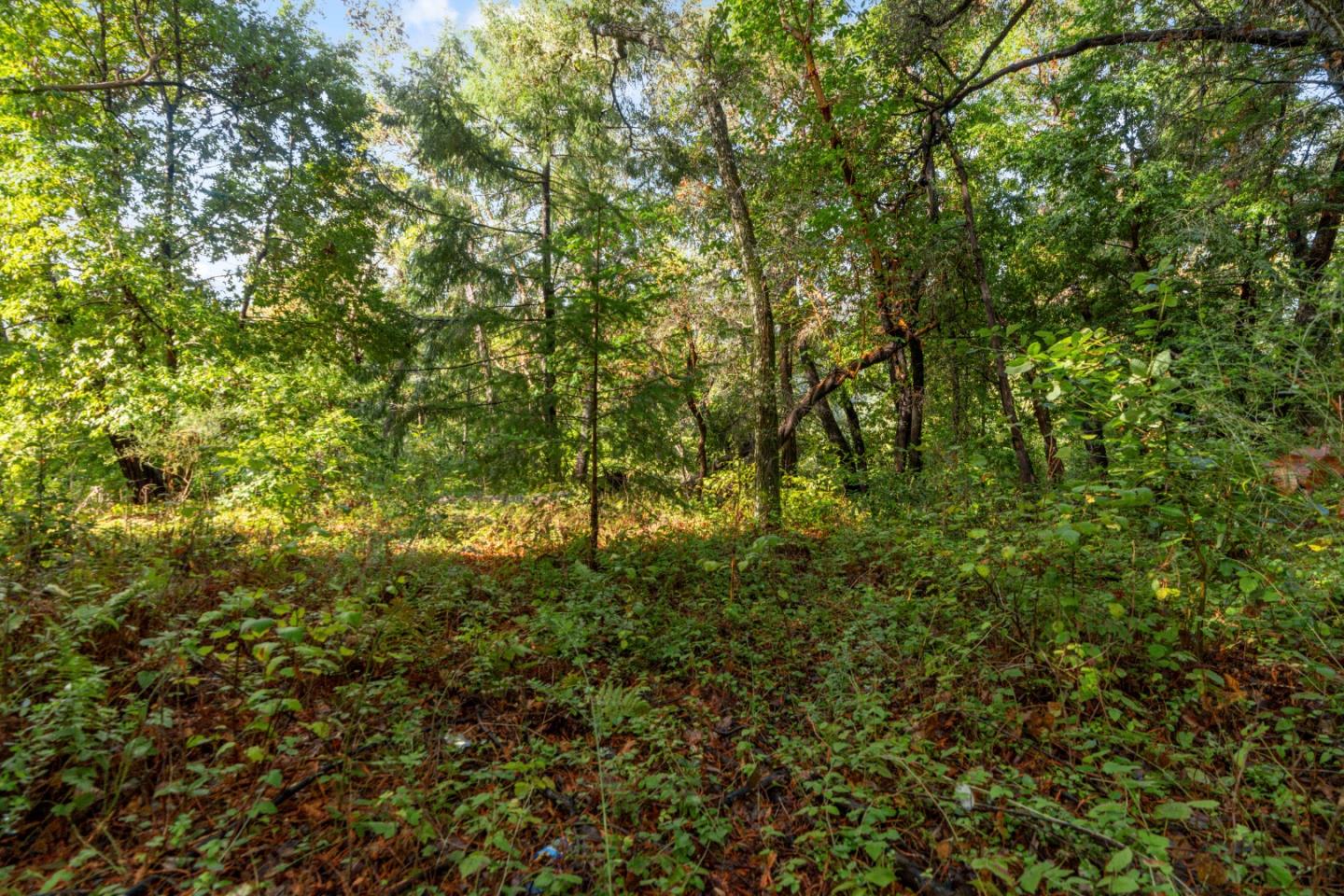 Lot 53 Lakeview Avenue