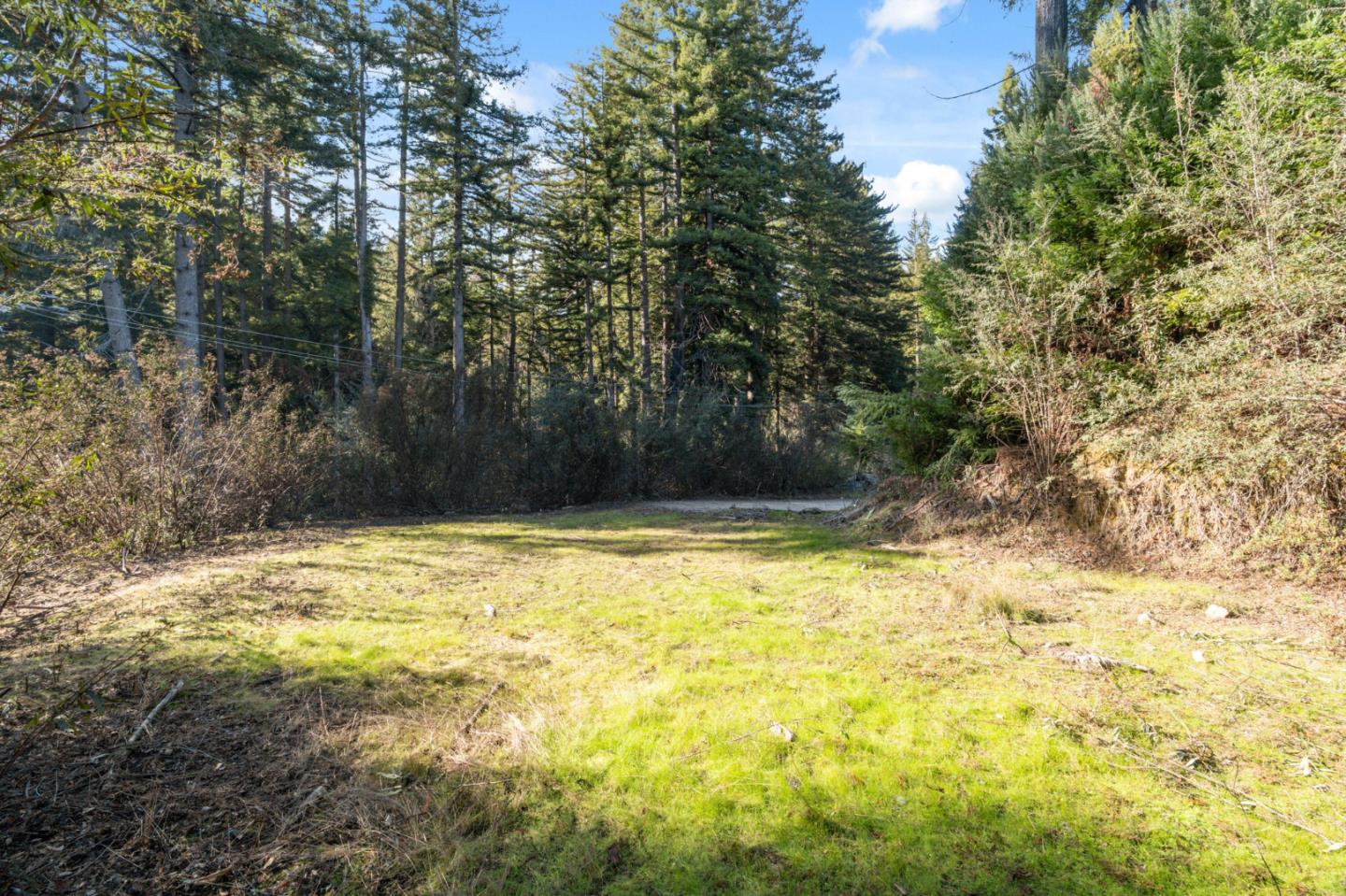 Wooded property with a sunlit grassy clearing and utility lines among the trees.