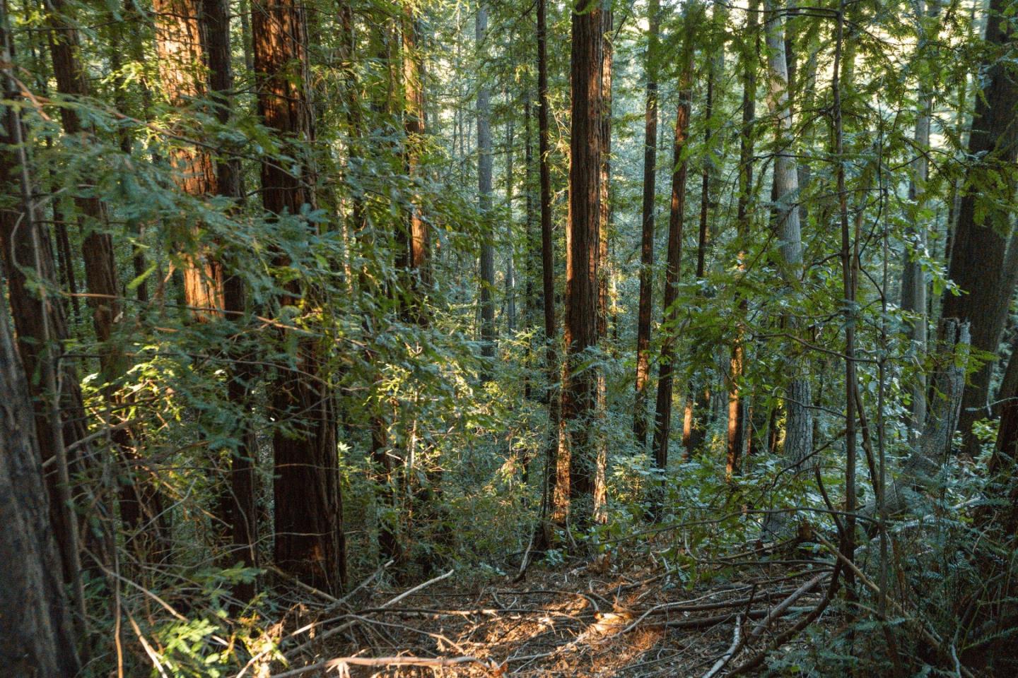 0 Country Club Drive