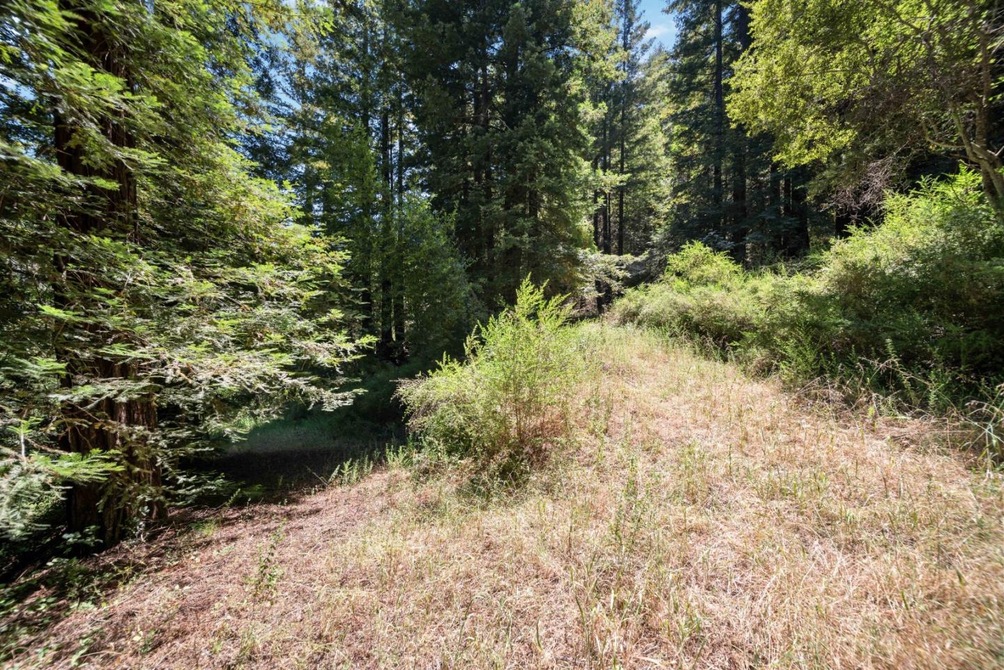 2305 Bear Canyon Road