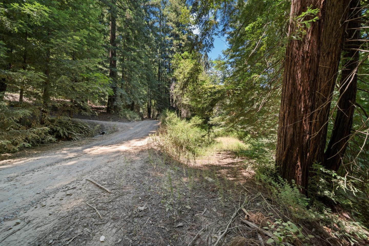 2305 Bear Canyon Road