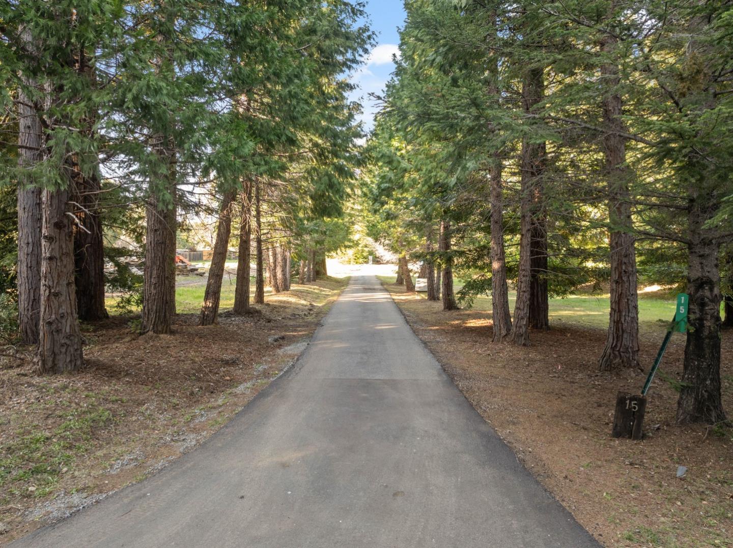 15 Braemoor Drive