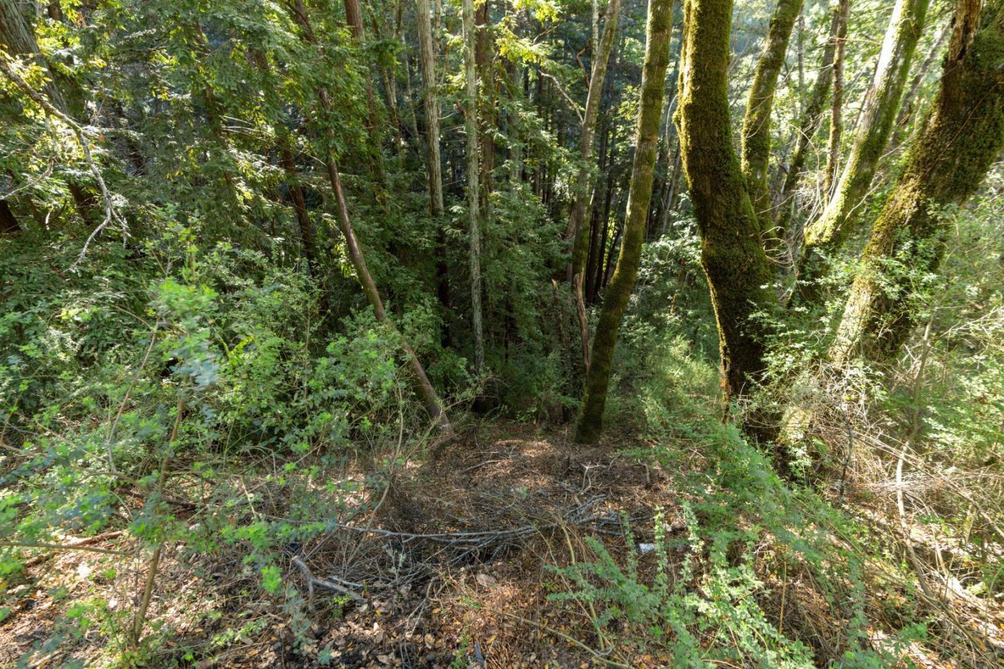 43 and 44 Buckeye Street