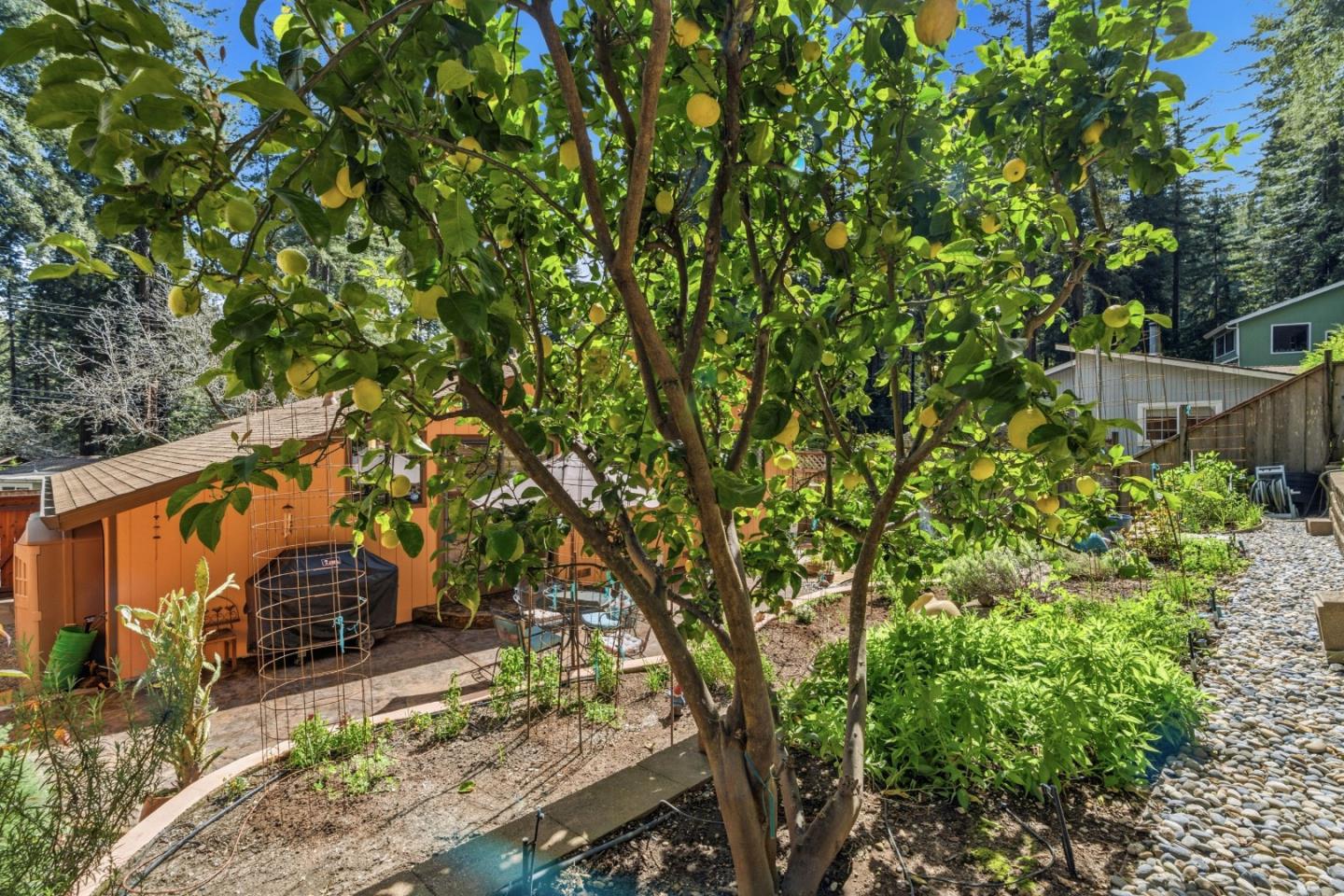 10931 Sequoia Avenue