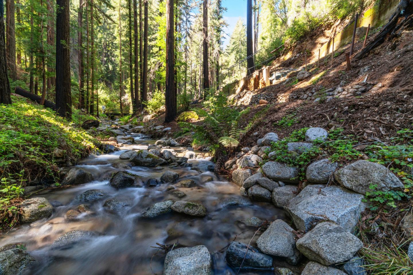 11800 Clear Creek Road