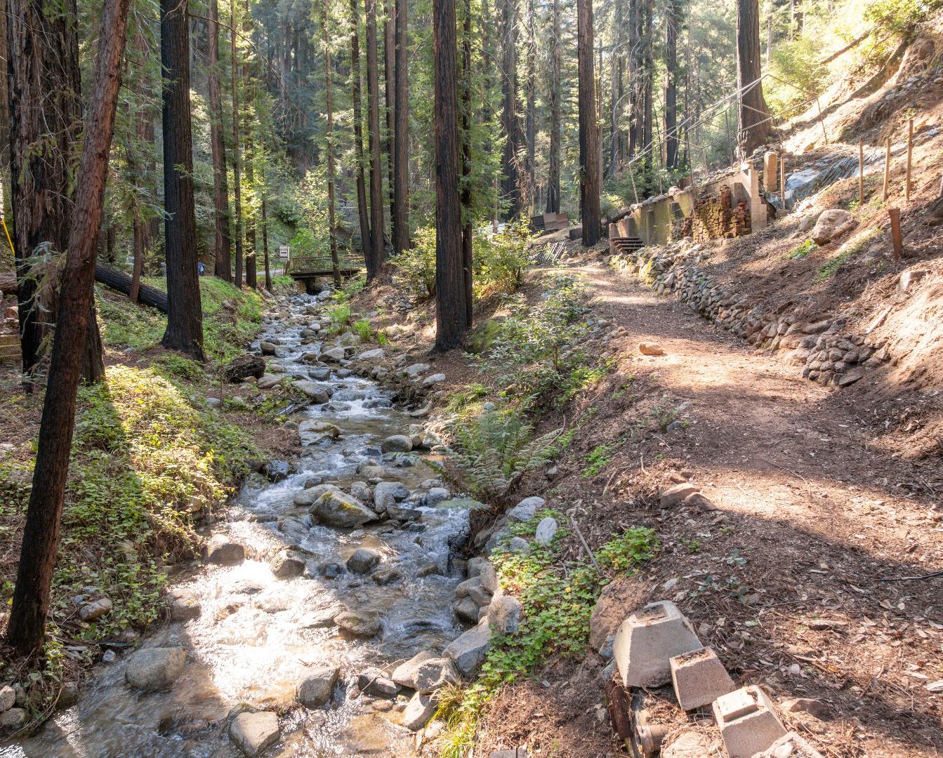 11800 Clear Creek Road