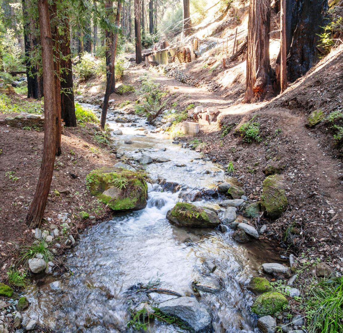 11800 Clear Creek Road