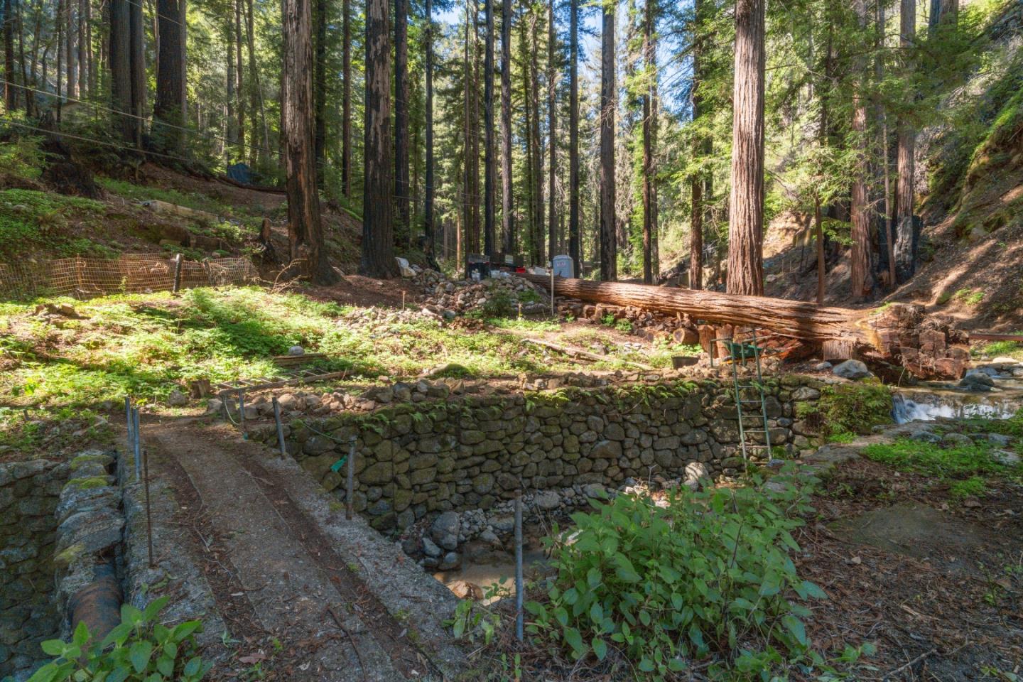 11800 Clear Creek Road