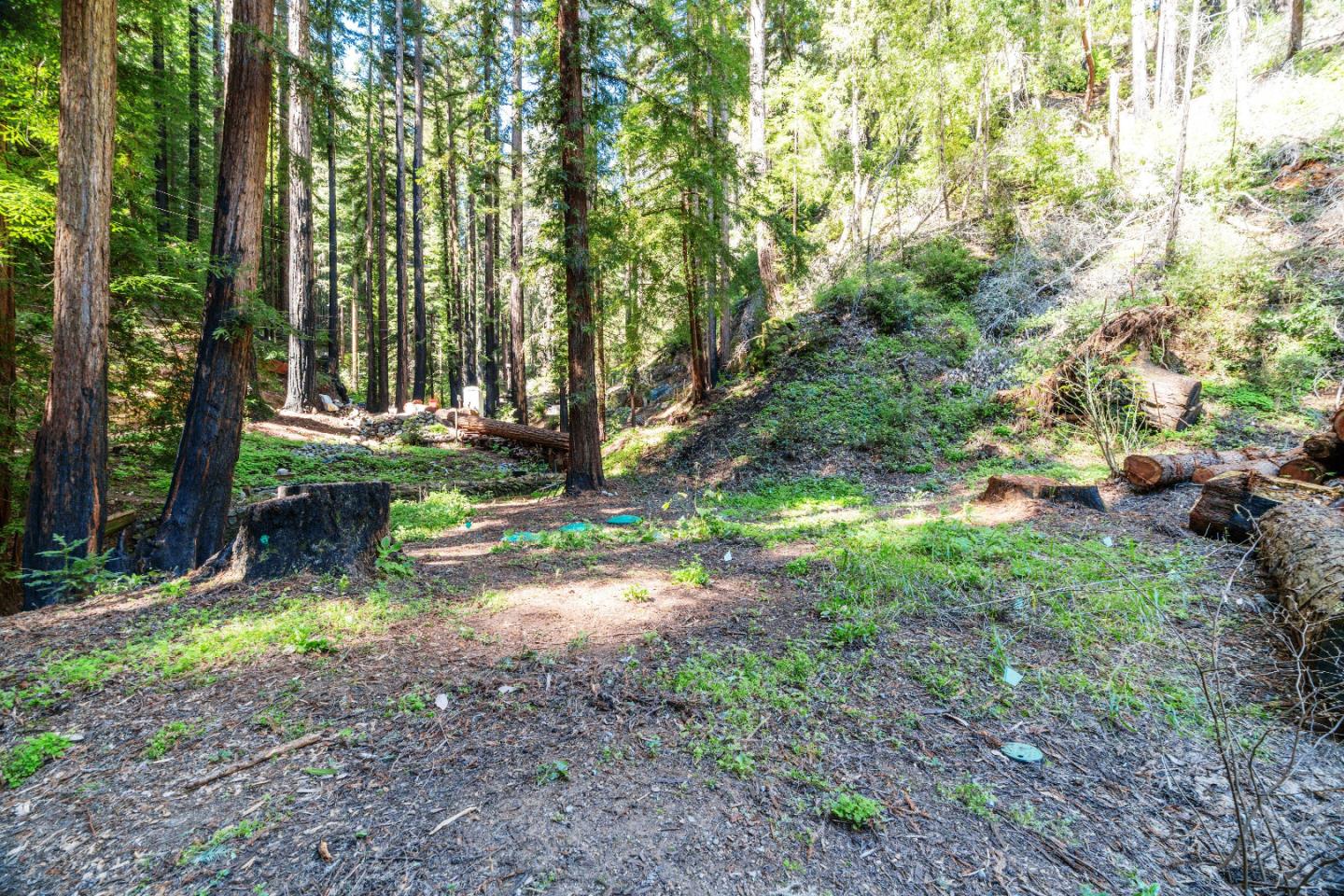 11800 Clear Creek Road