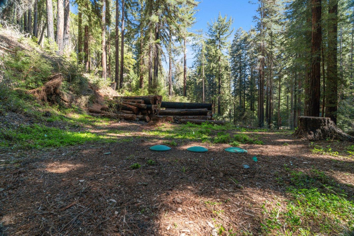 11800 Clear Creek Road