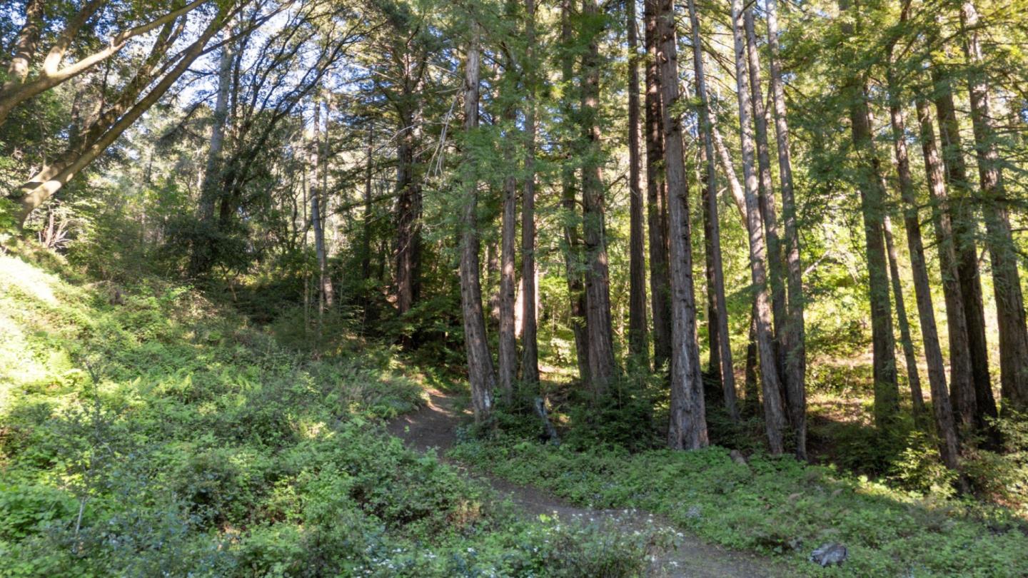 2715 Branciforte Drive