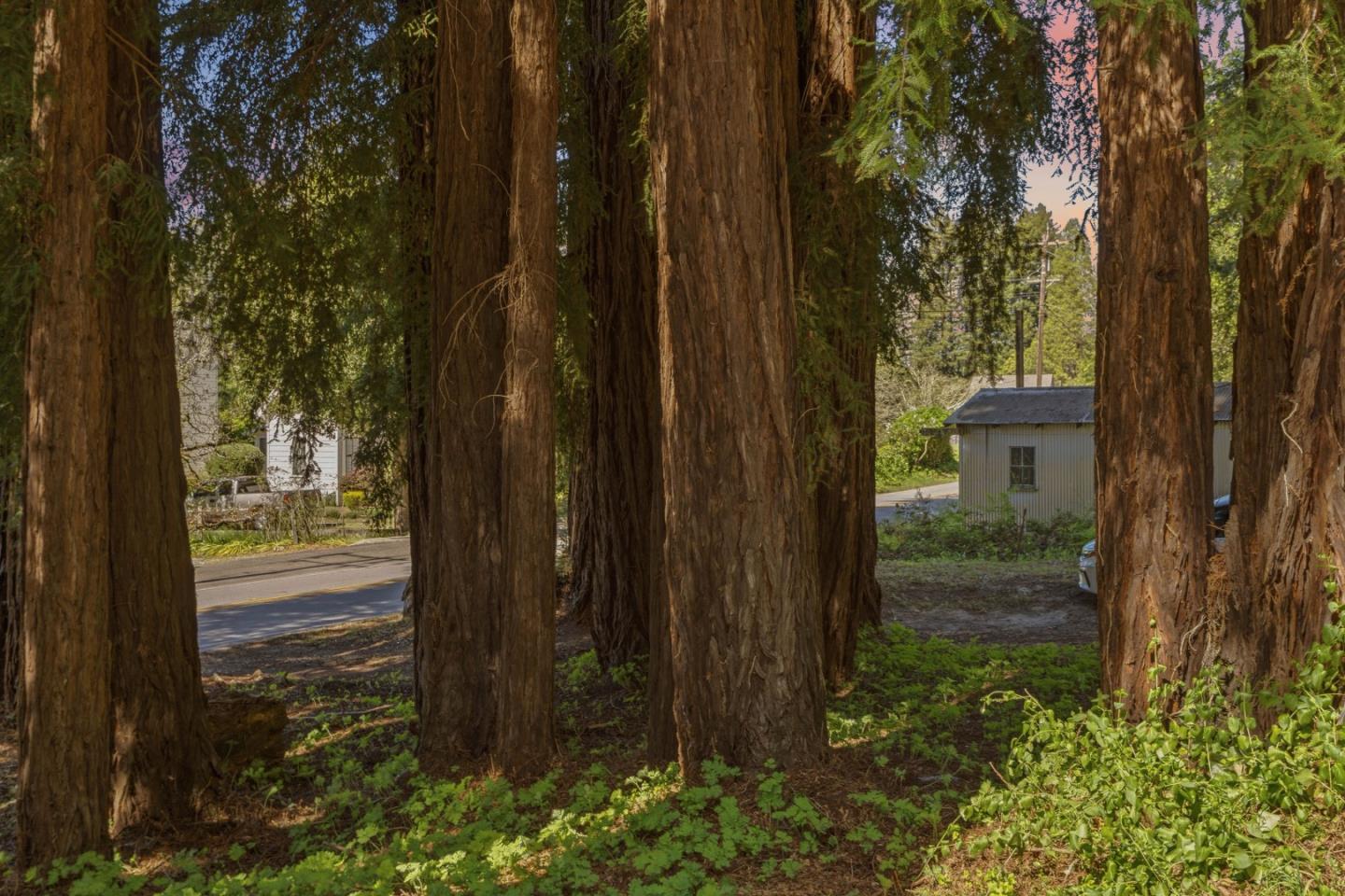 2715 Branciforte Drive