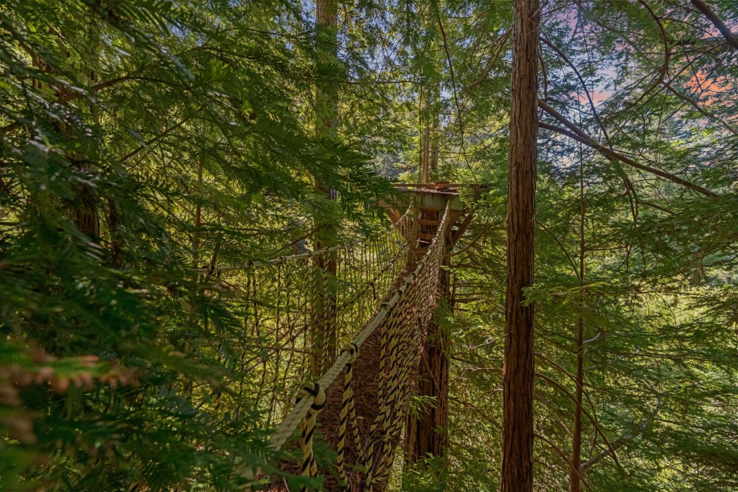 2950 Bear Canyon Road