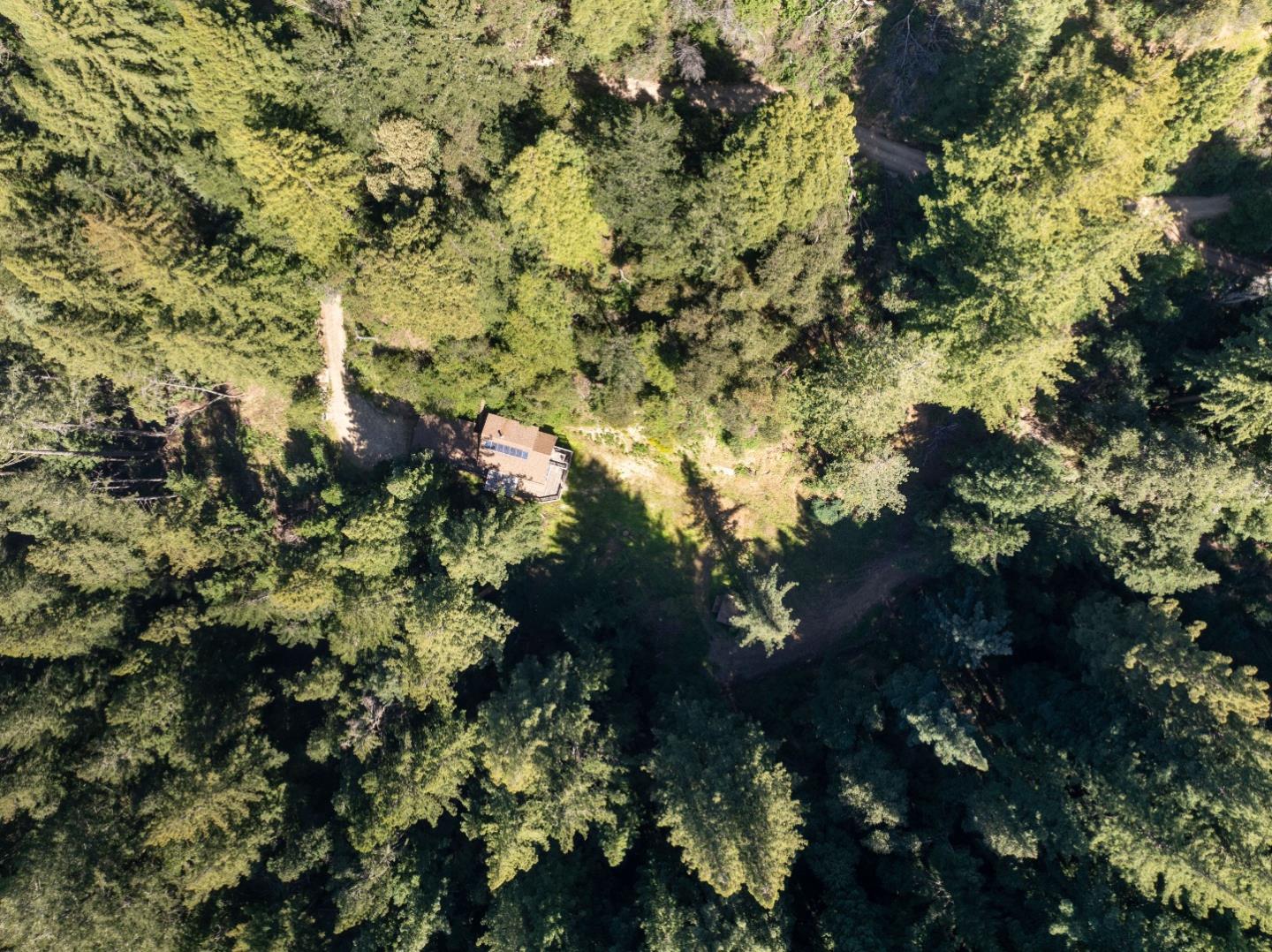 2950 Bear Canyon Road