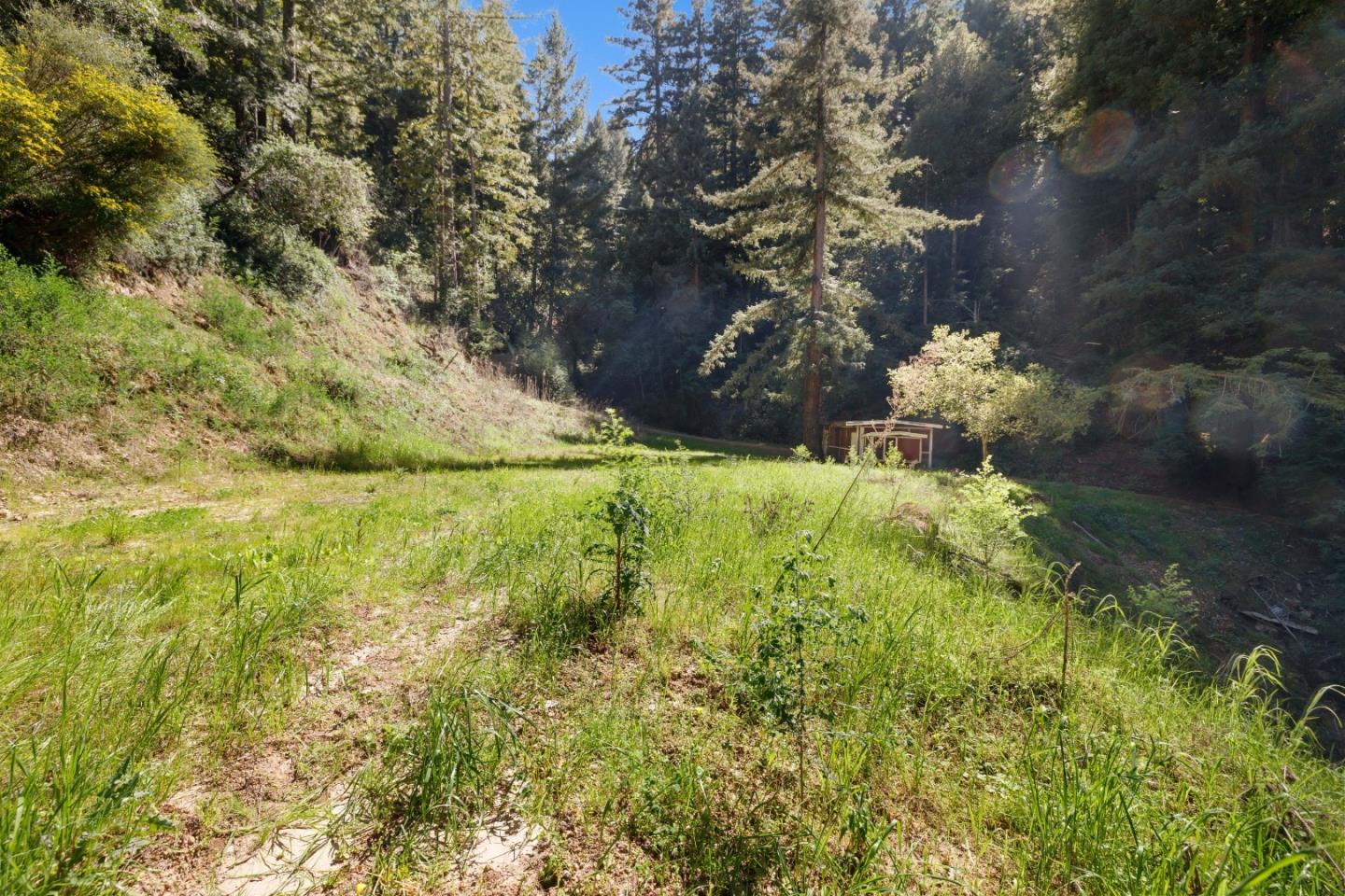 2950 Bear Canyon Road