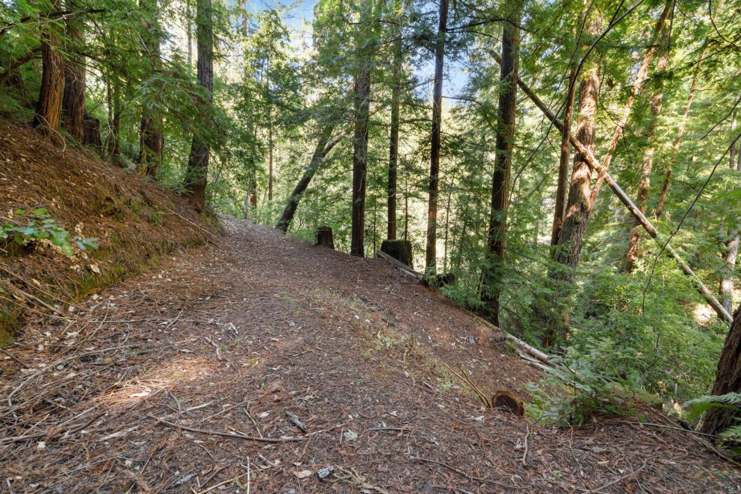 2950 Bear Canyon Road