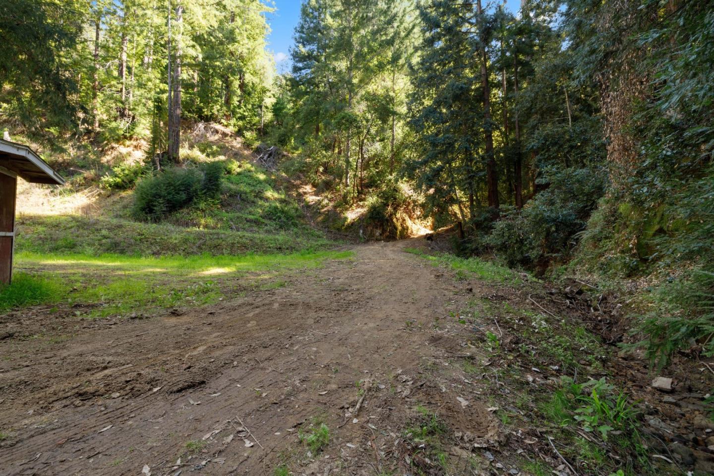 2950 Bear Canyon Road