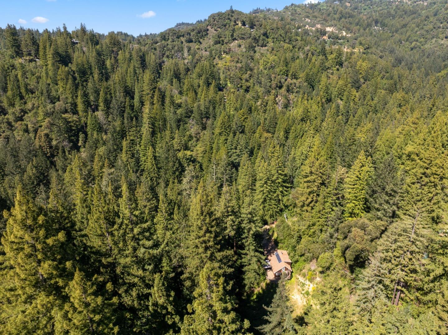 2950 Bear Canyon Road