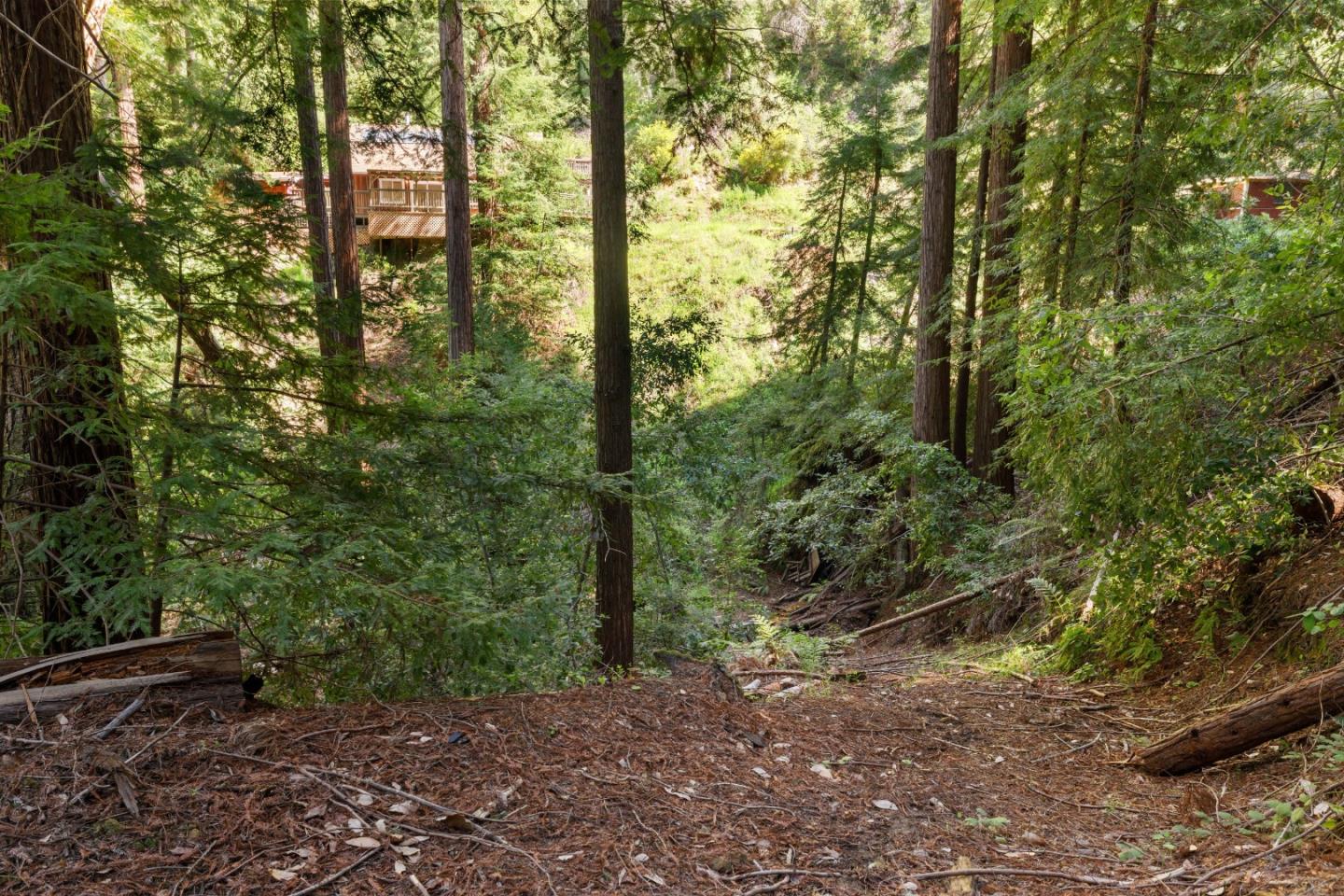2950 Bear Canyon Road